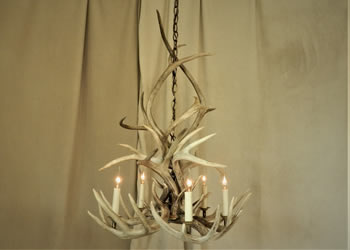 antler-chandelier-the-rosebud