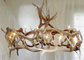 monarch antler chandelier