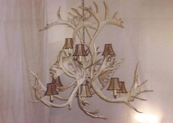 asymmetric antler chandelier