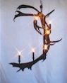 Caribou Assmetrical Antler Chandelier